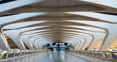 Fue inaugurado en 1975 y recibe el nombre por el escritor Antoine de Saint-Exupéry, autor de El Principito. El proyecto corresponde al conocido arquitecto Santiago Calatrava, que diseño la terminal con forma de pájaro. Destaca por sus dos grandes arcos de acero que convergen en el suelo y por la fachada de vidrio que permite la entrada de luz en el interior del edificio.