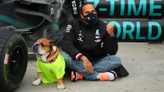 “Hamilton subestima la situación del mundo”