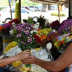Ingreso solidario febrero: qué hacer si no lo he recibido y cómo seguir mi solicitud