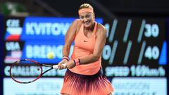 Kvitova brushes Brengle aside to set up Puig meeting
