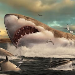 Tarragona, zona de cría del megalodón