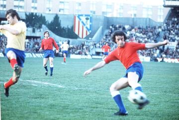 Vicente del Bosque se crió en Salamanca antes de recalar en el Real Madrid. Jugador de la primera plantilla desde 1973 hasta 1984, era un centrocampista cerebral que destacaba por su visión de juego y su capacidad de organización. Con la camiseta madridista disputó 312 partidos y marcó 14 goles. Con la Selección española acudió a la cita de Italia-1980, donde sólo jugó un encuentro (suplió a Asensi ante Bélgica). En 2012 y 2016 acudió como seleccionador: mientras en la primera se coronaba campeón del torneo, en la segunda, la Selección fue eliminada en octavos. En total dirigió a la Selección en 10 partidos de Eurocopa, con seis triunfos, dos empates y dos derrotas.