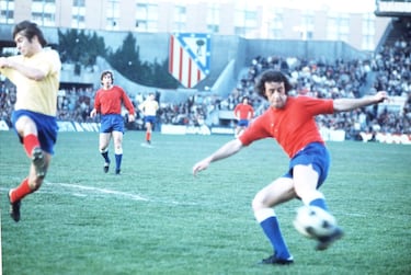 Vicente del Bosque se crió en Salamanca antes de recalar en el Real Madrid. Jugador de la primera plantilla desde 1973 hasta 1984, era un centrocampista cerebral que destacaba por su visión de juego y su capacidad de organización. Con la camiseta madridista disputó 312 partidos y marcó 14 goles. Con la Selección española acudió a la cita de Italia-1980, donde sólo jugó un encuentro (suplió a Asensi ante Bélgica). En 2012 y 2016 acudió como seleccionador: mientras en la primera se coronaba campeón del torneo, en la segunda, la Selección fue eliminada en octavos. En total dirigió a la Selección en 10 partidos de Eurocopa, con seis triunfos, dos empates y dos derrotas.