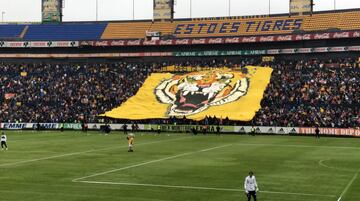 Tigres entrena a puerta abierta y fans se entregan: 'El más querido de México'