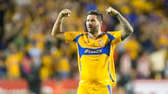 Querétaro vs Tigres: Horario, canal, cómo y dónde ver la Liga MX, Apertura 2024