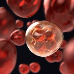 Los hábitos que puedes cambiar para prevenir el cáncer