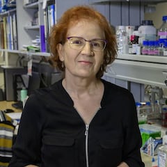 "Si no se toman medidas, habrá que volver al confinamiento severo"