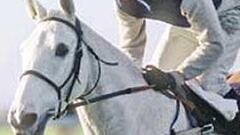 Murió Desert Orchid, el caballo más querido por los ingleses