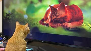 Stray se parece tanto a la realidad que hasta los gatos y perros quieren saltar a la pantalla