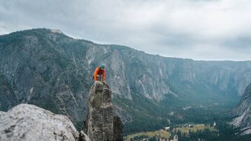 Chile gana en cinco categorías y se afianza como potencia mundial en importante premiación