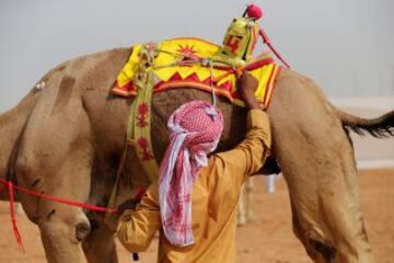 Se celebr車 en Dubai la Al Marmoom Heritage Festival, un acontecimiento que promueve el deporte tradicional de la carrera de camellos en la regi車n. Los participantes lo hacen a trav谷s de un jinete rob車tico con control remoto.