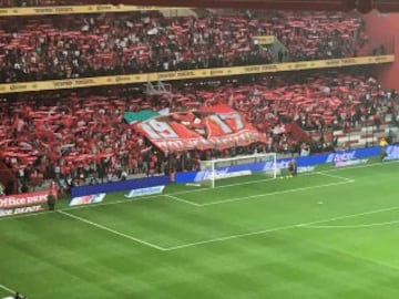 Así se vivió el ambiente previo al partido de ida de Semifinales entre los Diablos Rojos y el cuadro tapatío en el Estadio Nemesio Diez.