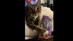 A video of a cat begging for Girl Scout cookies has gone viral due to the sweet face she makes at her owner in order to get her way. It would work on me.