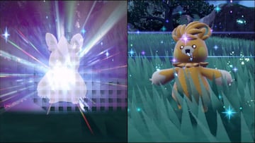How to evolve Pawmo to Pawmot in Pokémon Scarlet & Violet