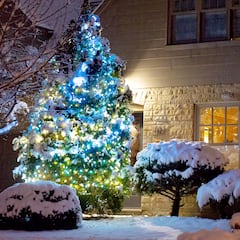 ¿Habrá una blanca Navidad este año? Mapa y estados de USA donde nevará el 24 y 25 de diciembre