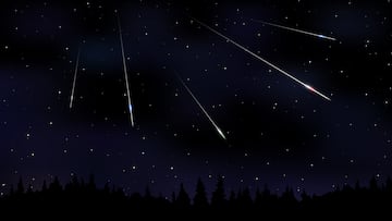 La lluvia de meteoros de las Perseidas se aproxima. Conoce qué es y cuál es la causa detrás de este increíble fénomeno astronómico.