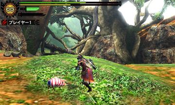 Captura de pantalla - Monster Hunter 4 (3DS)