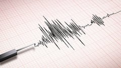 Se registran microsismos en la Ciudad de México: por qué no sonó la alerta sísmica | 14 de febrero