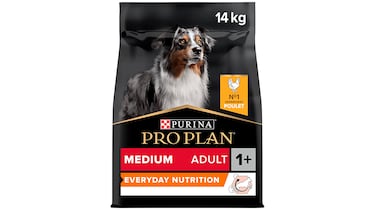 Los mejores piensos para perros según la OCU: Purina es el ganador