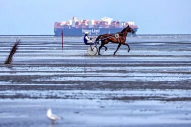 Un jinete de carreras de arnés, también conocidas como de trote, compite durante la 89ª edición de la carrera de caballos Duhner Wattrennen mientras se ve un buque portacontenedores a lo lejos en Cuxhaven, a orillas del Mar del Norte, en la Baja Sajonia (Alemania). La carrera tiene lugar en el Mar de Frisia, sobre la fina arena del estuario del Elba. 