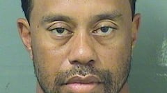 Tiger Woods dio negativo en los dos tests de alcoholemia