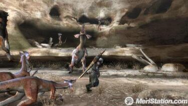 Monster Hunter Tri, Impresiones