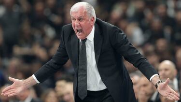 Zeljko Obradovic, durante un partido de la presente Euroliga, al frente del Partizán.