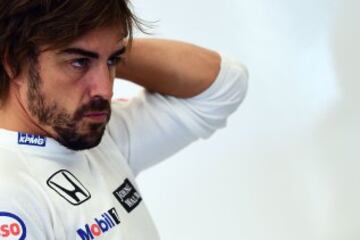 Fernando Alonso.