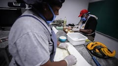 Coronavirus en Argentina: resumen y casos de 1 de abril