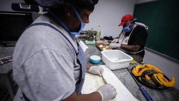 Sigue en vivo y en directo online las últimas noticias sobre el coronavirus en Argentina, con afectados, fallecidos y medidas del Gobierno hoy, 1 de abril.