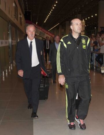 Vicente del Bosque.