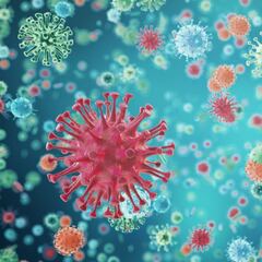 Coronavirus Chile: qué se sabe sobre las mutaciones del virus