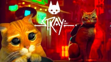 ?Habr¨¢ Stray 2? ?Cu¨¢ntos finales tiene Stray? Final explicado