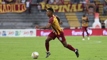 Horarios y TV: Cómo y dónde ver Tolima - Tigre por Copa Sudamericana.