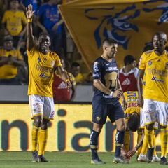 Tigres tiene más afición que Pumas