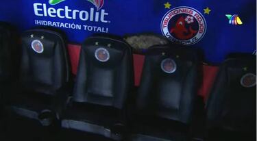 Tlacuache invade El Pirata en el Veracruz vs Pumas