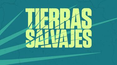 Fortnite Temporada 3: un nuevo teaser muestra cómo llega la jungla a la isla