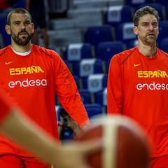 El gran misterio de los Gasol
