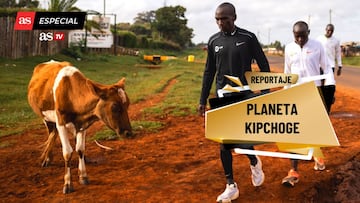 Kipchoge: secretos del mejor maratoniano de la historia