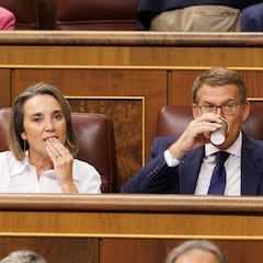 Cuca Gamarra no seguirá como portavoz del PP en el Congreso
