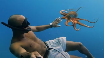 Un buceador nada con un pulpo y le aparta con una mano mientras con la otra sujeta un palo selfie de GoPro. 