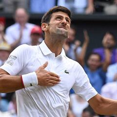 La dieta 'mágica' de Djokovic en su camino hacia el éxito