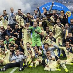 Así fue el año de la Liga: los campeones y decepciones