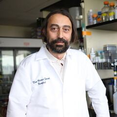 Un virólogo explica qué ocurrirá cuando haya inmunidad de rebaño