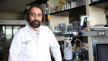 Un virólogo explica qué ocurrirá cuando haya inmunidad de rebaño