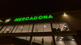 El origen del aceite de oliva de Mercadona