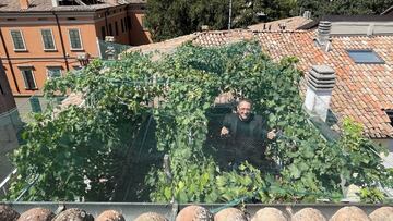 In the heart of Northern Italy there exists the smallest vineyard in the world that produces just 29 bottles of wine per year and they will cost you $5,000.