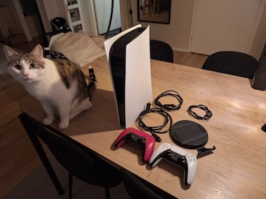 Se vende la PS5 usada más inusual: “El gato es negociable”