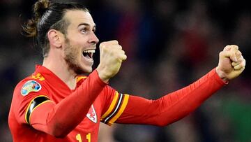 Berbatov: "Bale fue tonto por celebrar con esa bandera"