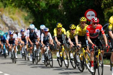 El pelotón durante la etapa.